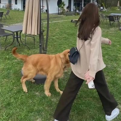 不一样的月光